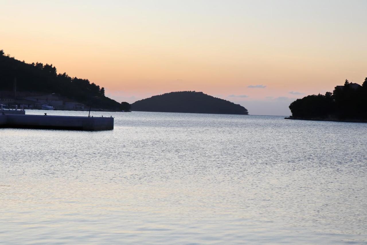 Apartament Seaside Franica *